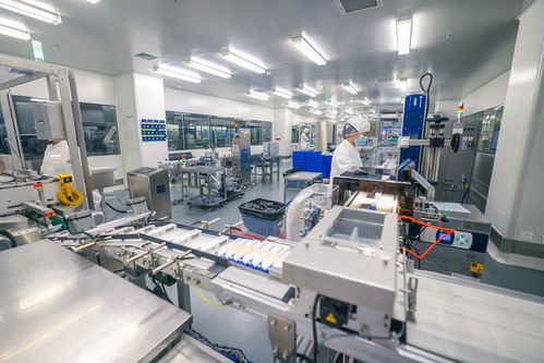 長春新區向“新”求“質”推動民營經濟發展壯大，商業綜合體管理服務再升級